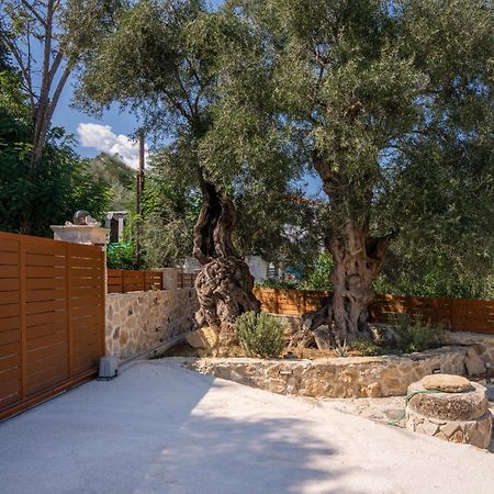 Lazai Villa Kato Yerakarion エクステリア 写真